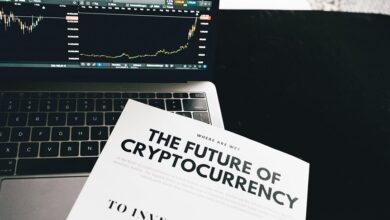 cryptocurrency trend discovery hub