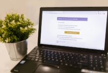 email information guide queries for contact payments