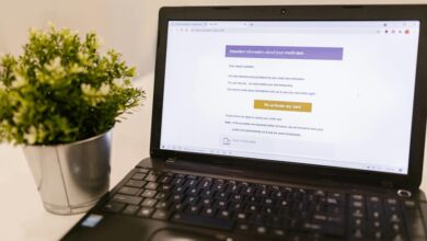 email information guide queries for contact payments