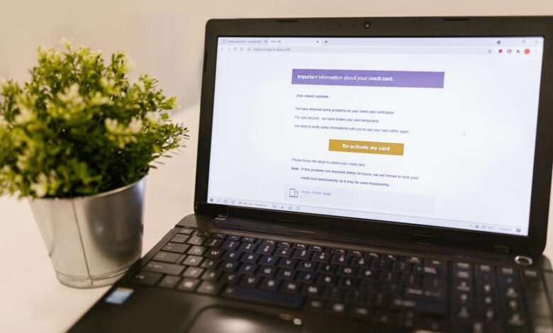 email information guide queries for contact payments