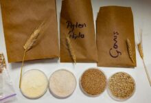 food additives research hub