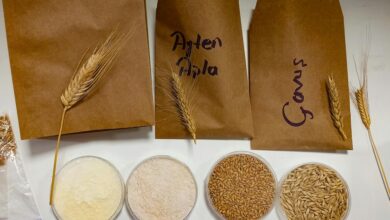 food additives research hub