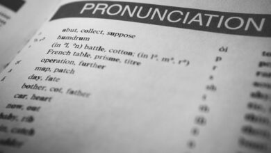 language insight guide on regional word search queries