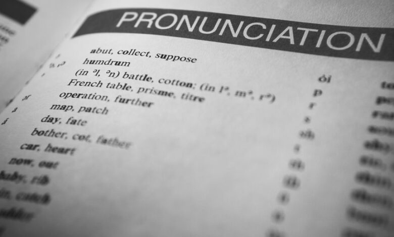 language insight guide on regional word search queries