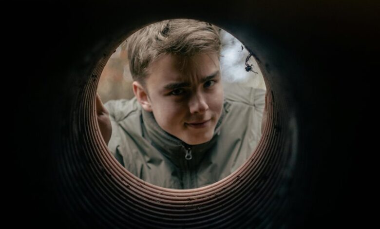 profile discovery portal reveals online identity searches