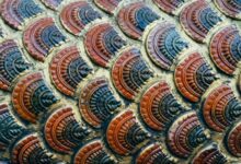 random code keyword insight guide