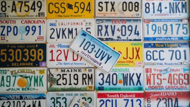 compile verified phone numbers list