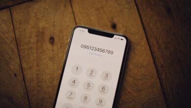 phone number registry insights requested for specific numbers
