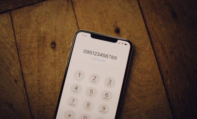 phone number registry insights requested for specific numbers