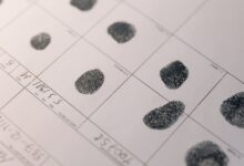 public registry numbers searched