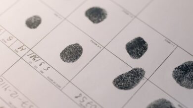 public registry numbers searched