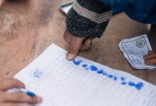 registry lookups for five ids
