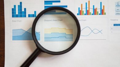 registry numbers review highlights