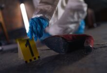 registry numbers reviewed for multiple evidence entries