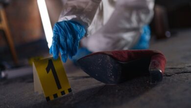 registry numbers reviewed for multiple evidence entries