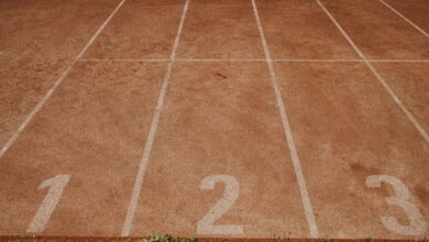 track numbers verification details for listed ids